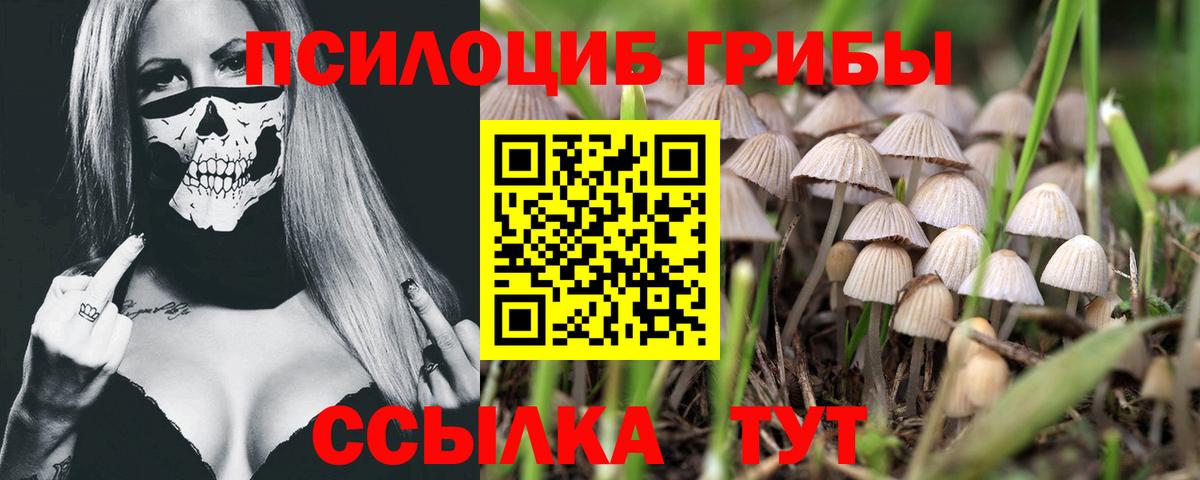 Ефремов  Псилоцибиновые грибы ЛСД  Псилоцибиновые грибы мицелий  Вход с VPN 